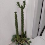 WhatsApp Image 2023-02-07 at 14.16.33 (1)