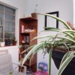 WhatsApp Image 2023-02-07 at 14.16.34 (1)