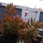 WhatsApp Image 2023-02-07 at 14.16.34 (3)