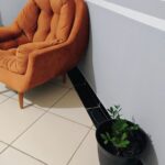 IMG_20241129_090241441_AE